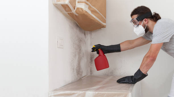 Professional Commercial Mold Remediation technician working in Holly Springs, NC