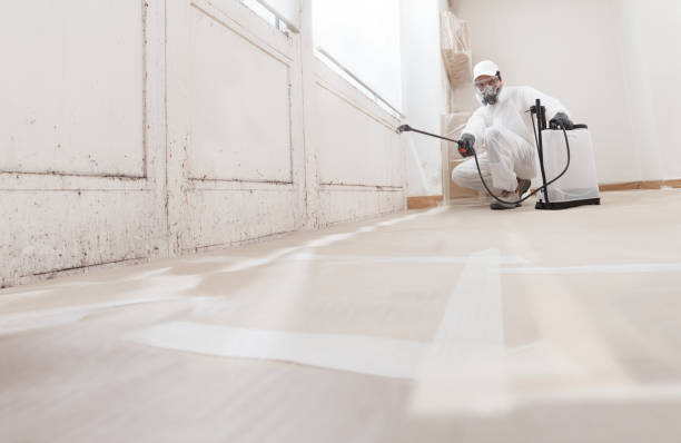 24/7 Emergency Commercial Mold Remediation experts in Holly Springs, NC
