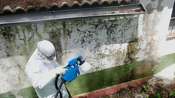 Top rated local Commercial Mold Remediation specialists in Holly Springs, NC